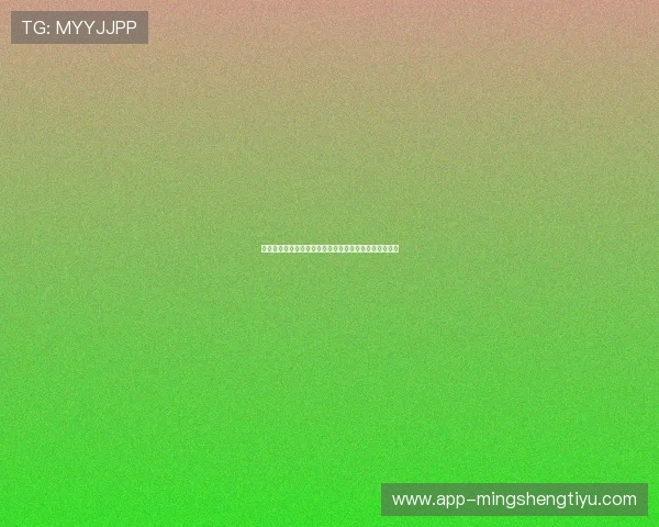 新西兰与比利时世界杯比赛全场比分实时更新与赛后总结